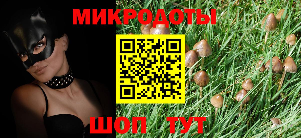 Балашов  Галлюциногенные грибы MAGIC MUSHROOMS  Вход с VPN 