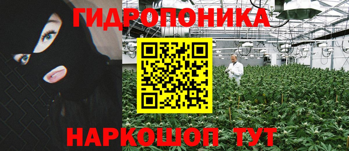 Псилоцибиновые грибы Балашов